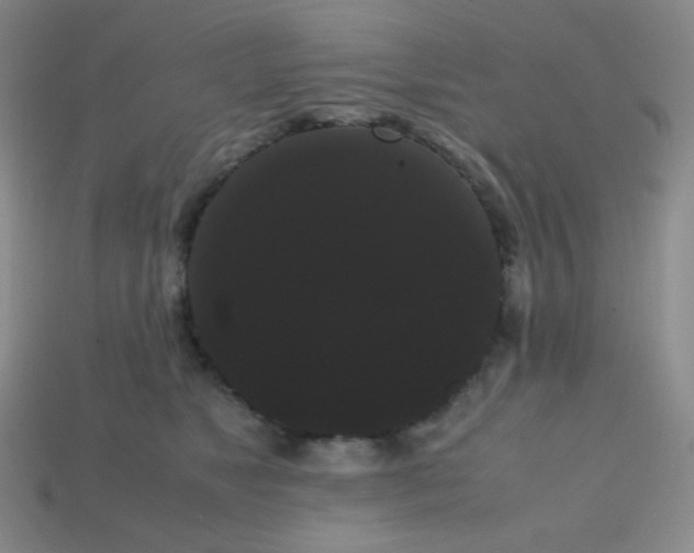 X0000113850517200910081648