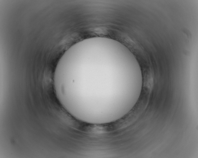 X0000113850518200910081648