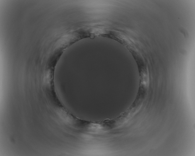 X0000113850519200910081648