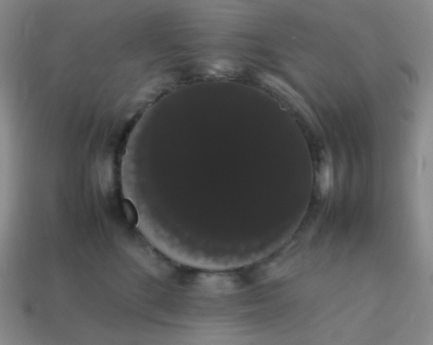 X0000113850520200910081648