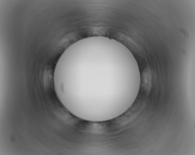 X0000113850522200910081648