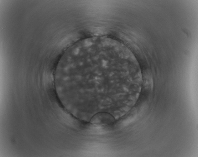 X0000113850523200910081648