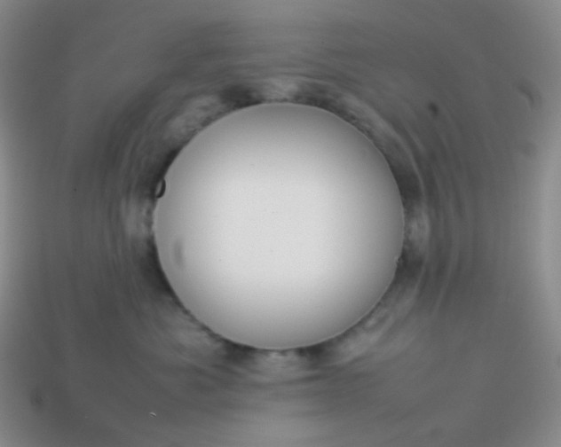 X0000113850525200910081648