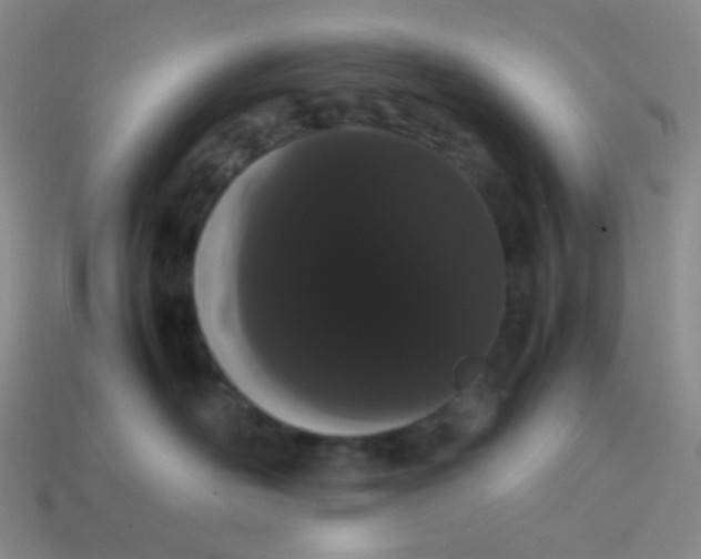 X0000113850526200910081648