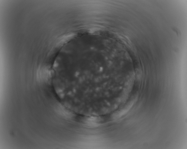 X0000113850527200910081648