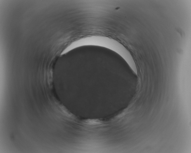 X0000113850528200910081648