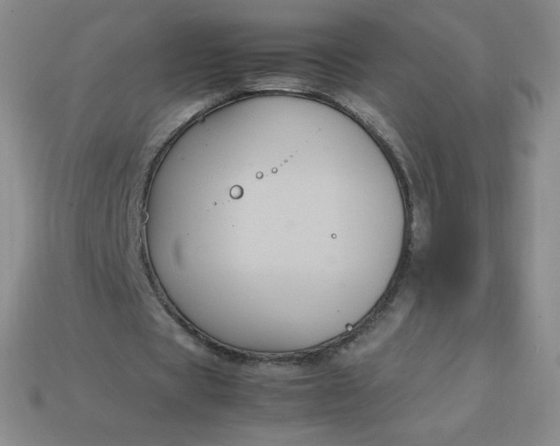 X0000113850529200910081647