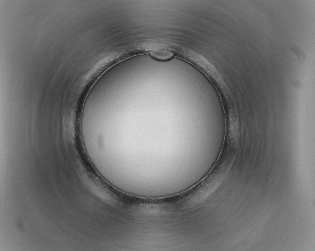 X0000113850530200910081647