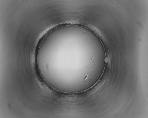 X0000113850532200910081647