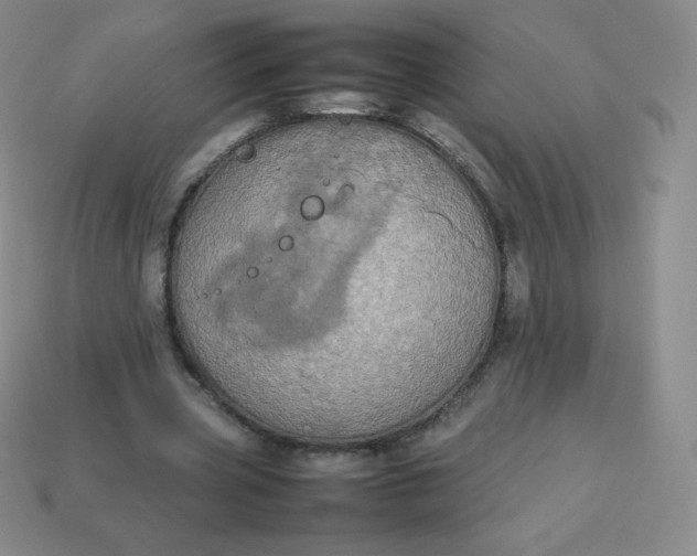 X0000113850533200910081647