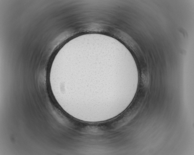 X0000113850534200910081647