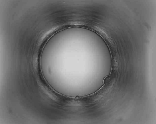 X0000113850535200910081647