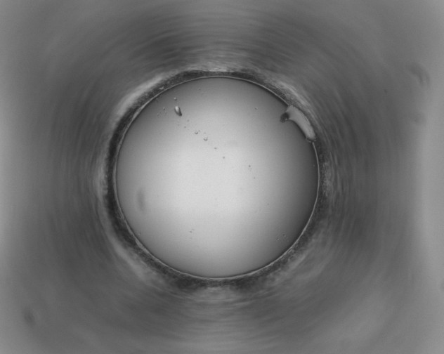 X0000113850536200910081647