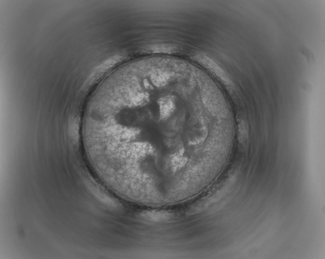 X0000113850537200910081647