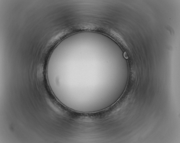 X0000113850538200910081647