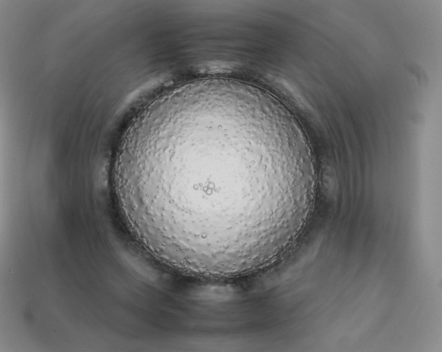 X0000113850543200910081648