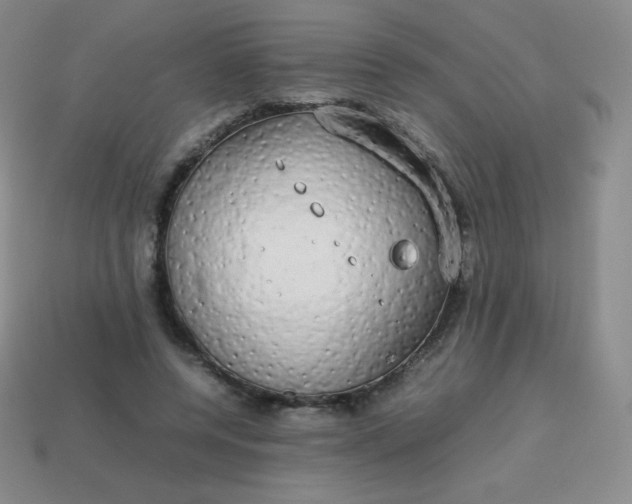 X0000113850544200910081648