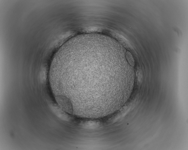 X0000113850546200910081648