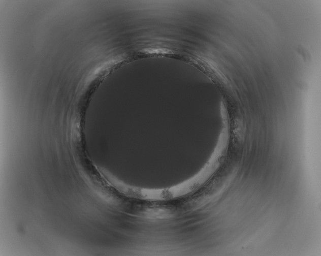 X0000113850547200910081648