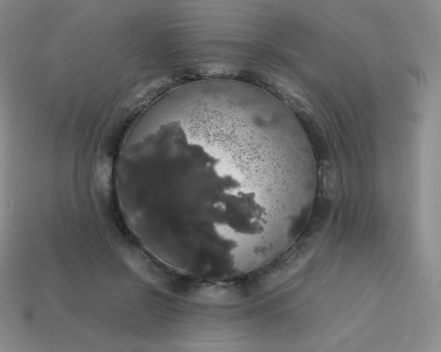 X0000113850550200910081648