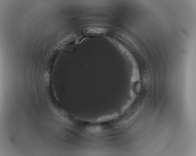 X0000113850551200910081648