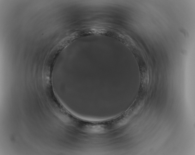 X0000113850553200910081648