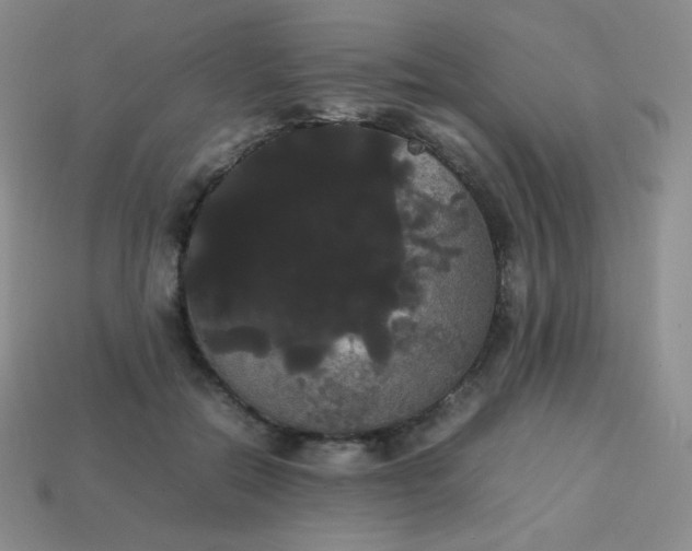 X0000113850554200910081648