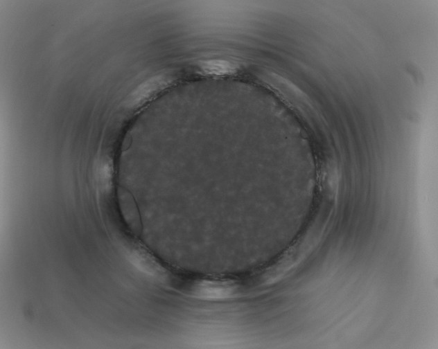 X0000113850556200910081648