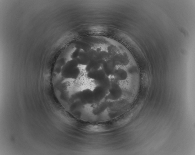 X0000113850557200910081648