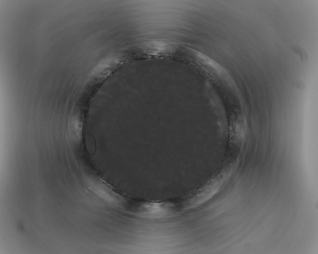 X0000113850558200910081648