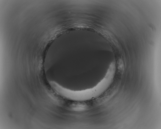 X0000113850559200910081648