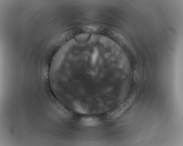 X0000113850561200910081648