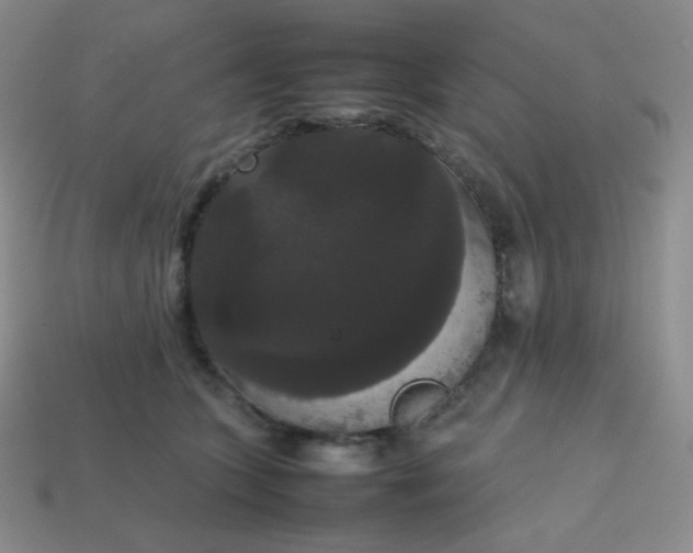 X0000113850563200910081648