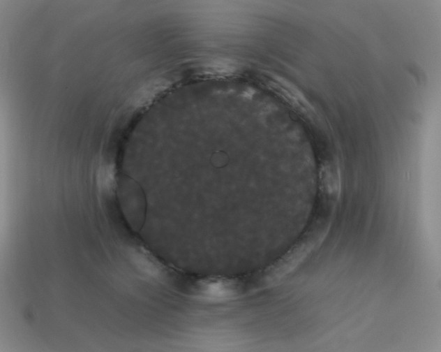 X0000113850564200910081648