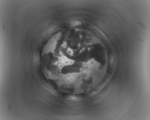 X0000113850565200910081648