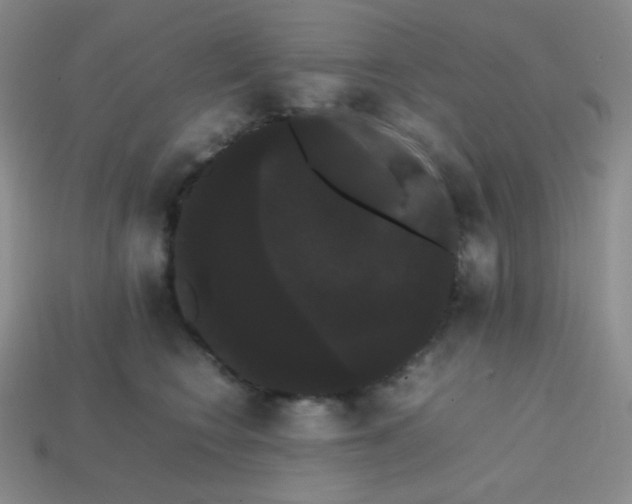 X0000113850566200910081648