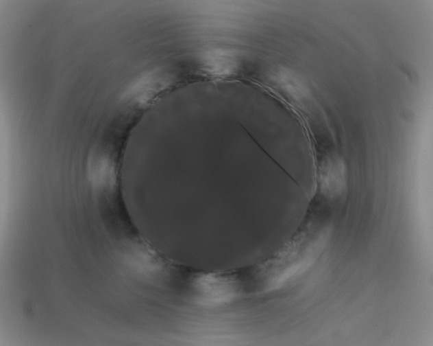 X0000113850568200910081648