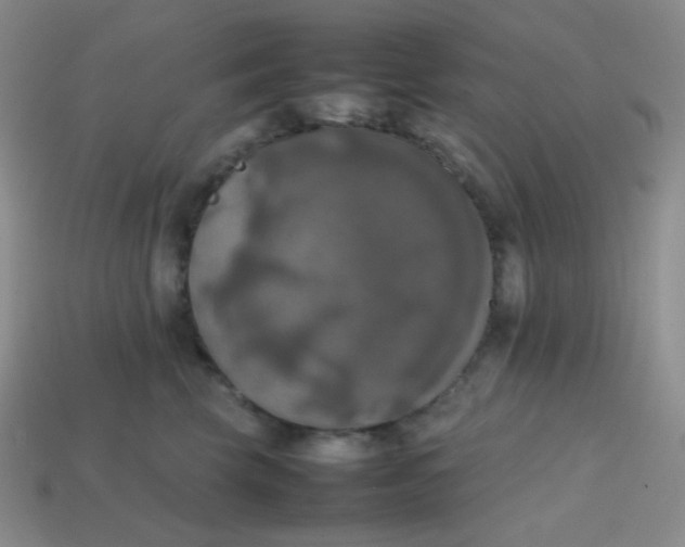 X0000113850569200910081648