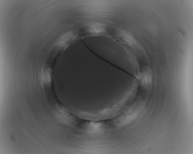 X0000113850570200910081648