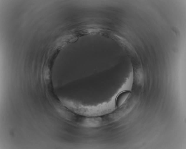 X0000113850571200910081648