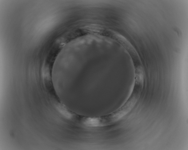 X0000113850573200910081648