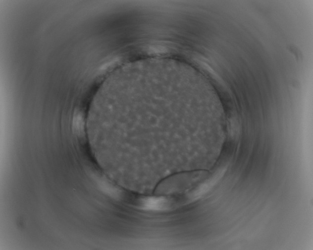 X0000113850575200910081648