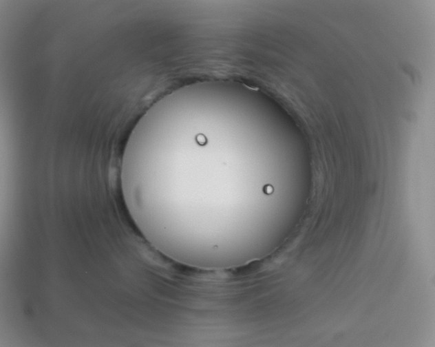 X0000113850576200910081648