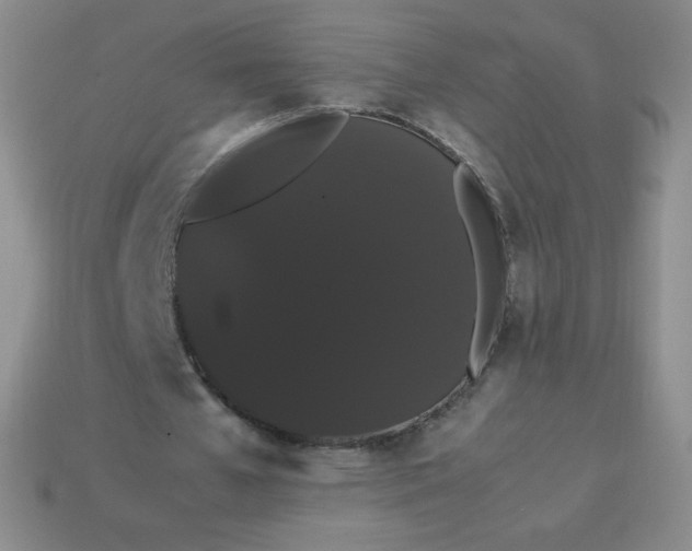 X0000113850577200910081647