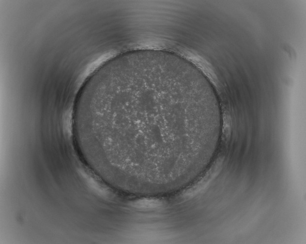 X0000113850578200910081647