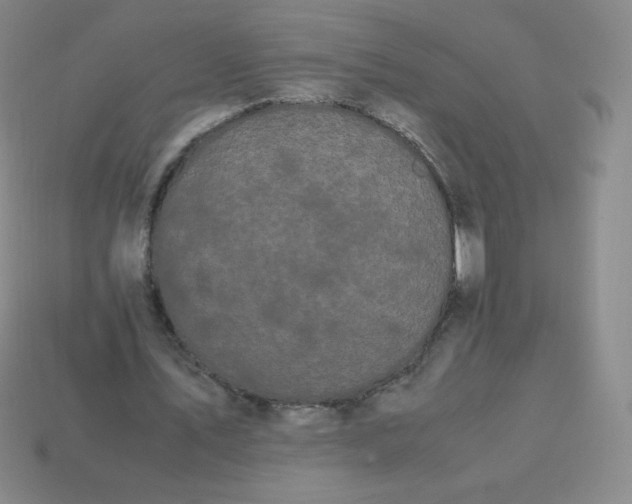 X0000113850579200910081647