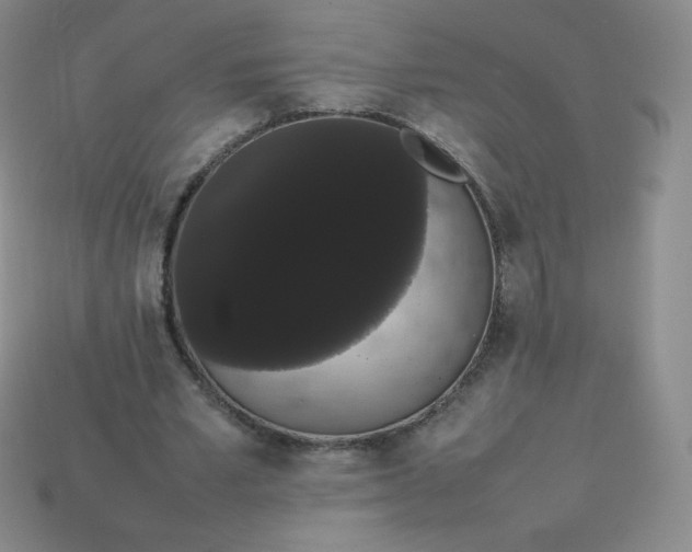 X0000113850581200910081647