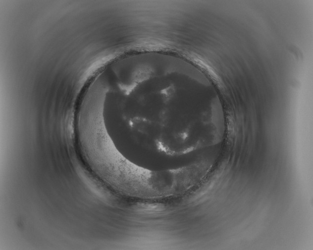 X0000113850582200910081647