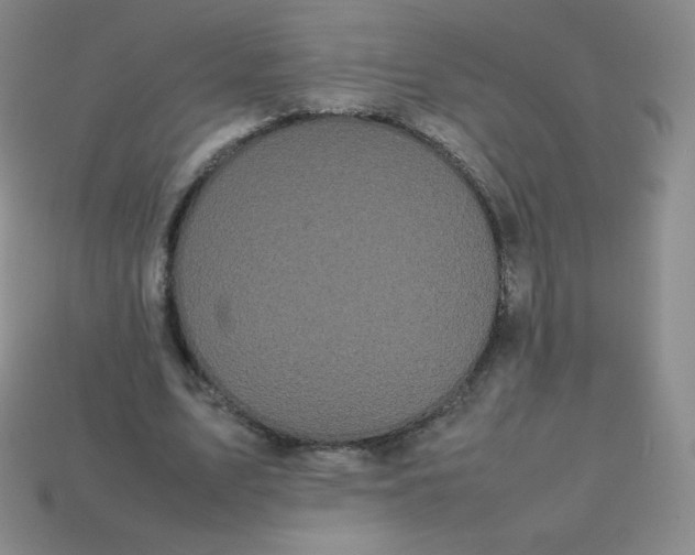 X0000113850583200910081647