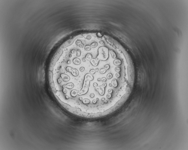 X0000113850584200910081647